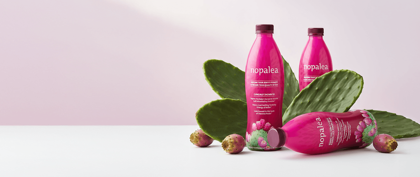 Nopalea Bottles with Cactus