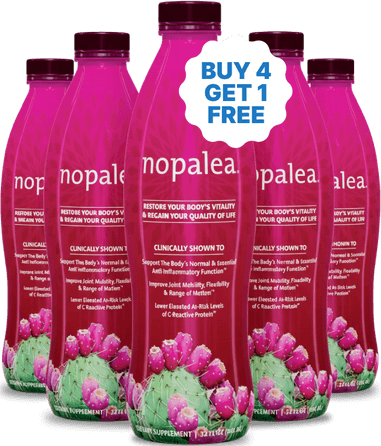 Nopalea 5-Pack Bundle